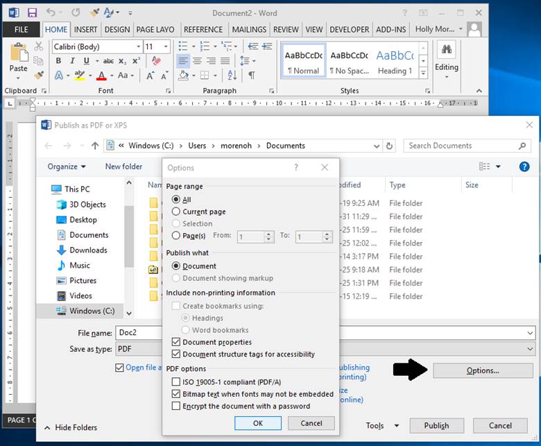 Screenshot of PDF export options in Word
