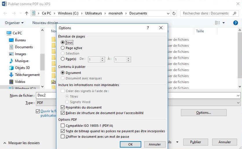 Capture écran qui démontre le bouton « Options » activé lors du processus d'exportation de PDF dans Word.